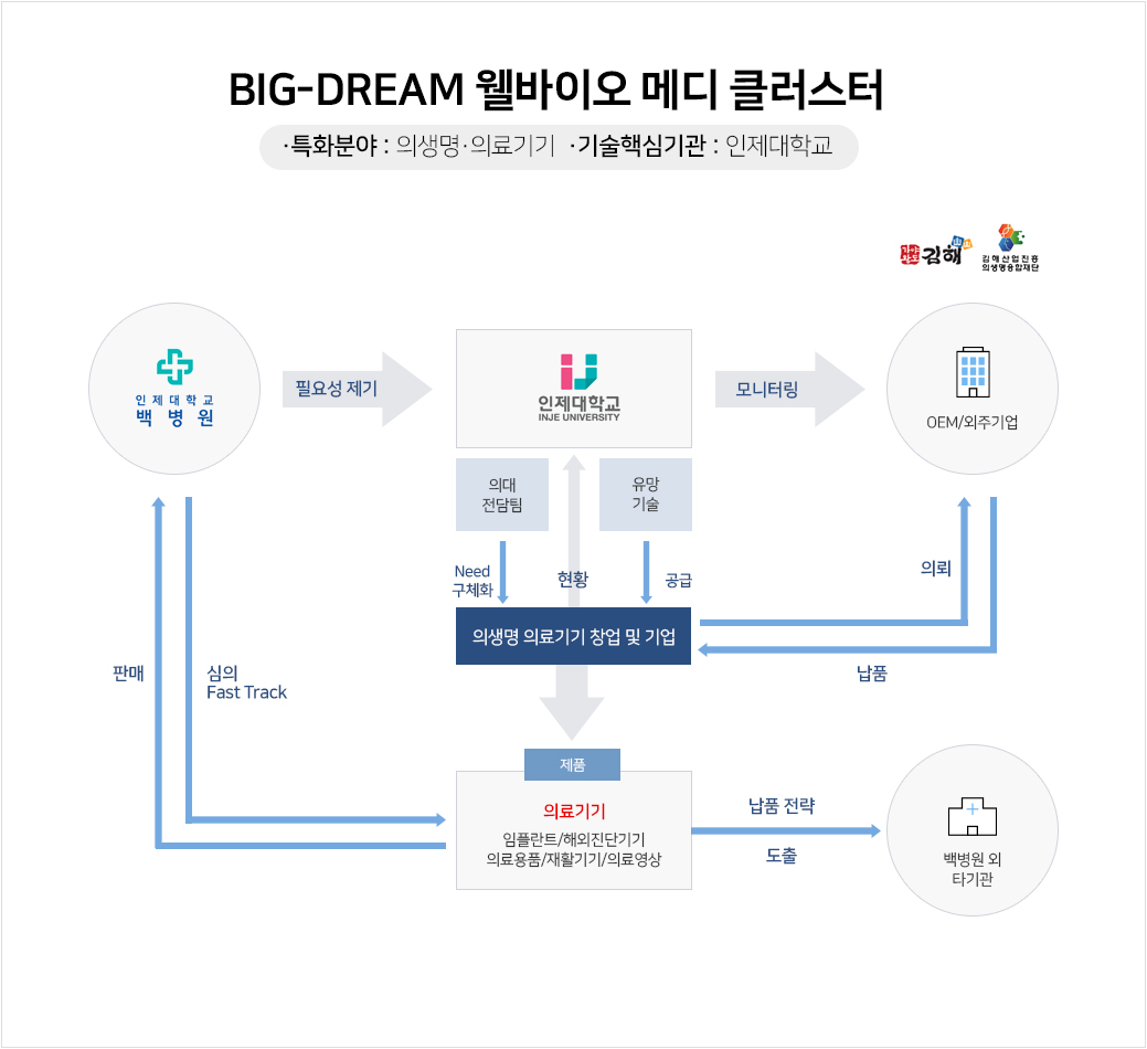 경남 김해 강소특구 육성전략 : BIG-DREAM 웰바이오 메디 클러스터