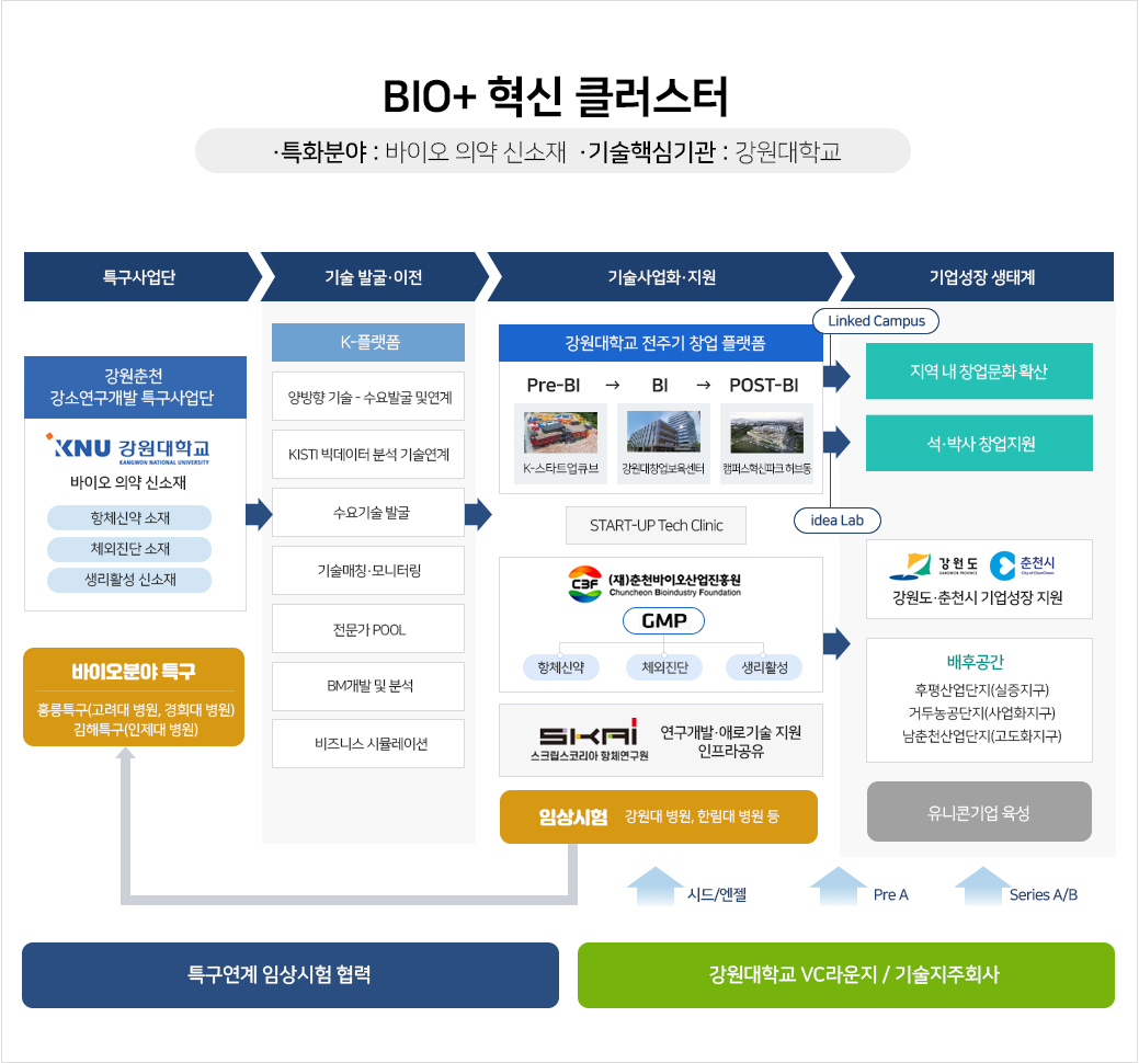 강원 춘천 강소특구 육성전략 : BIO+ 혁신 클러스터